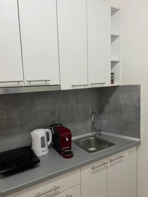 Sany Center Apartment Belgrád Kültér fotó